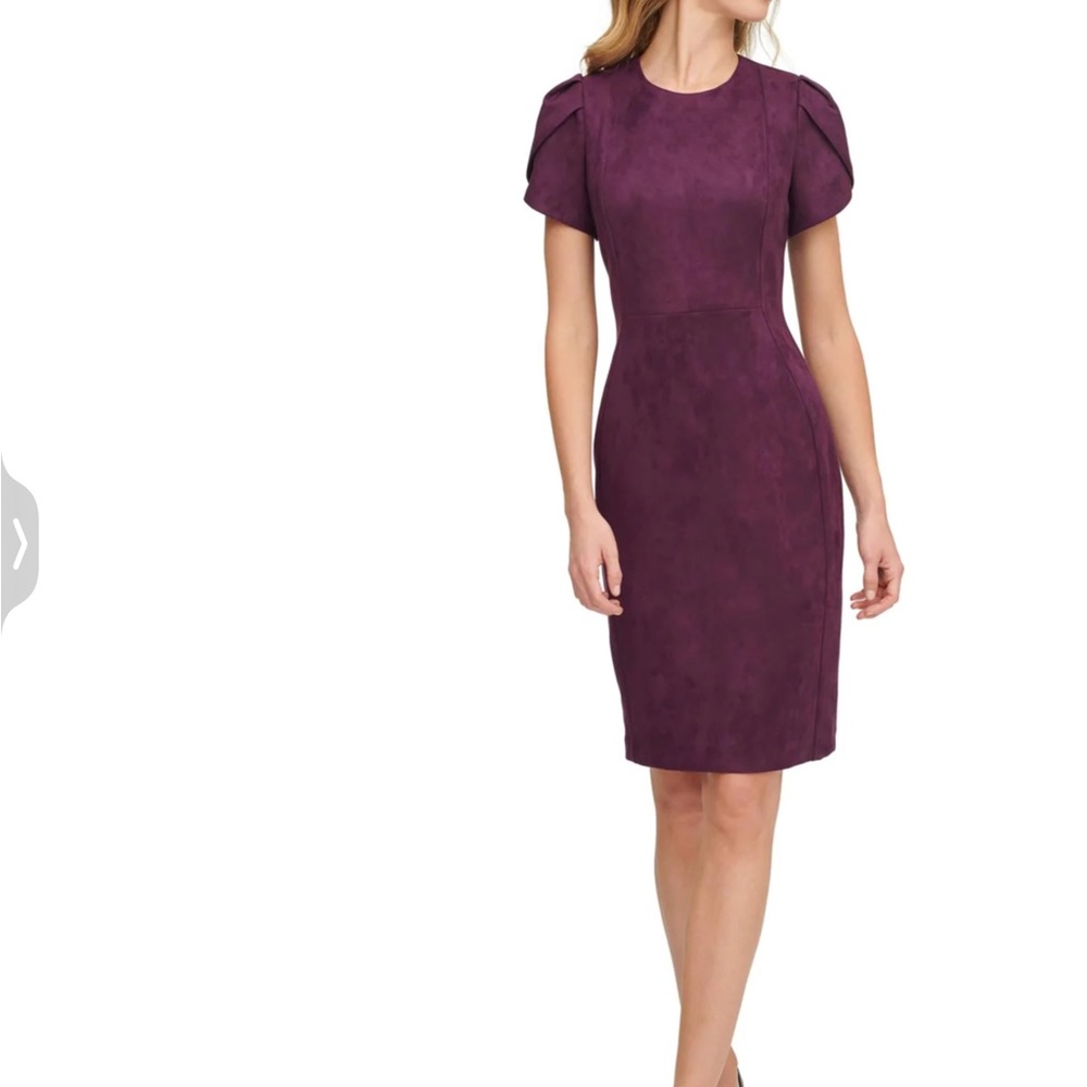 Calvin Klein Suede Berry Dress